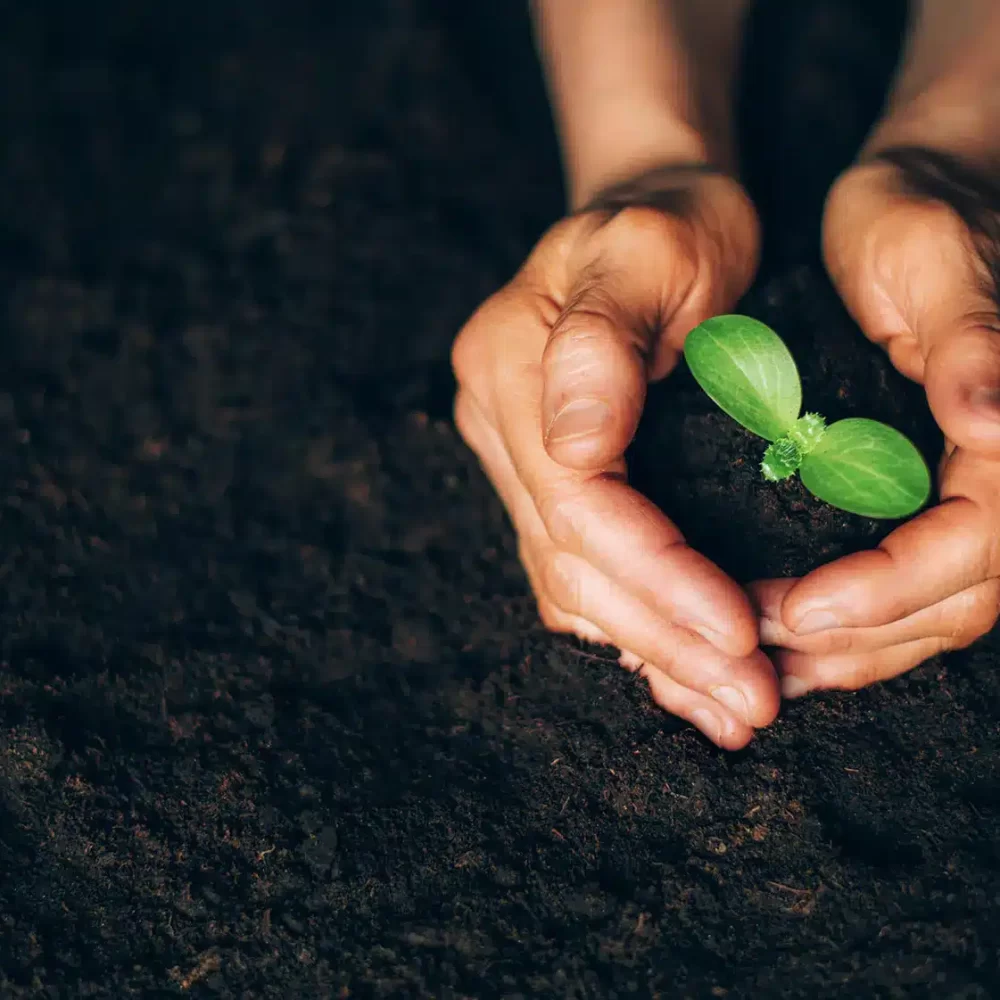 Sistemul-de-Management-de-Mediu